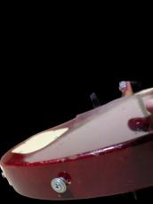 Greco The Greco LPタイプ(オーダー品)_9