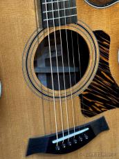 Taylor 【Taylor 選定品‼】50th Anniversary 312ce SEB LTD #1207114045【48回迄金利0%対象】_3