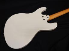 Aria Pro II DM-206 VW_7