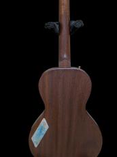 B&G B&G Little Sister Private Build "Cedar of Lebanon" _8