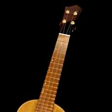 Lotus Acoustics Concert Custom - Vintage mahogany_11