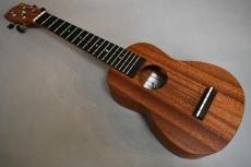 Millar SLPA-E Soprano Longneck【S/N 131】_2