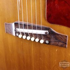 Gibson 1964年製 J-50_9