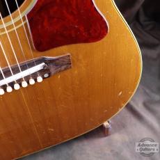 Gibson 1964年製 J-50_16