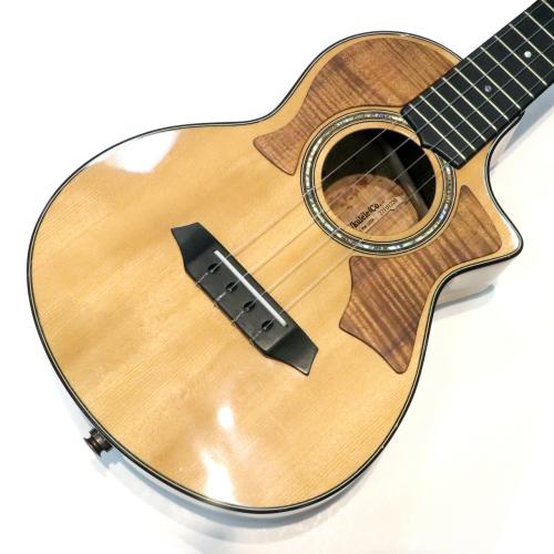 G String T4CB Cutaway Double PG w/L.R.Baggs Five-O