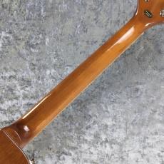 Epiphone Les Paul Standard 50s Plain Top ~Inverness Green~ #25031527486【3.91kg】_8