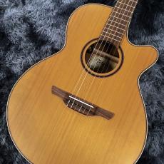 Takamine P3FCN NS -World Standard Series-【展示入替特価】【エレガット】【日本製】