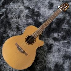 Takamine P3FCN NS -World Standard Series-【展示入替特価】【エレガット】【日本製】_2