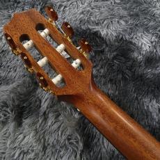 Takamine P3FCN NS -World Standard Series-【展示入替特価】【エレガット】【日本製】_7