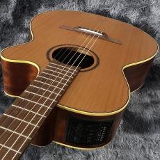 Takamine P3FCN NS -World Standard Series-【展示入替特価】【エレガット】【日本製】_8