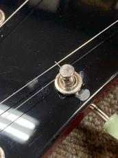 GrassRoots G-SG-STD CH_4