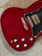 GrassRoots G-SG-STD CH_5