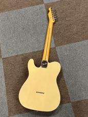 Fender Limited Edition American Professional Classic Telecaster Maple Fingerboard, Vintage Blonde_3