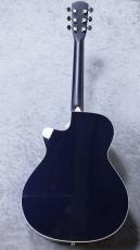 Morris 【アウトレット特価】CTM R-15K SBG【クロサワ楽器オーダー限定カラー】_4