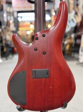Ibanez SR1420B -  Caribbean Green Low Gloss -_9