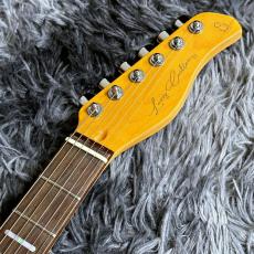 Sire Larry Carlton T7TM See Through Red_6
