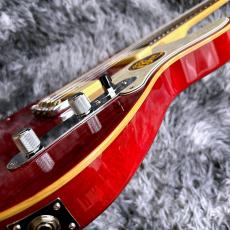 Sire Larry Carlton T7TM See Through Red_10