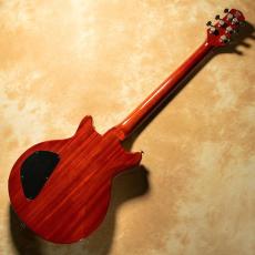 Kz Guitar Works Kz One Solid Carved Top 24F 2H5 T.O.M【プロトタイプ】_5
