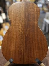 Leho LHUS-ASAK #2006【単板モデル】【分割手数料0%】【送料当社負担】_2