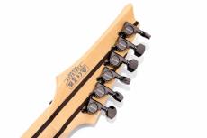 Ibanez RG8570 RBS_7
