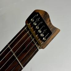 VIKSTROM GUITARS VSMH-260【現物写真】_4