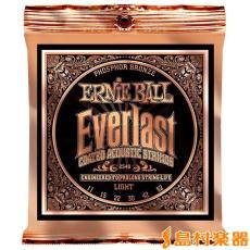 ERNIE BALL 2548 アコースティックギター用弦