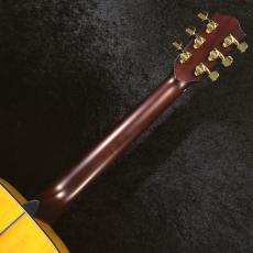 Headway HF-SHIKIZAKURA'26/STD【分割手数料0%】【送料当社負担】_9