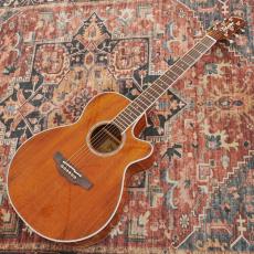Takamine PTU131KC N_2