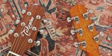 Takamine PTU131KC N_10