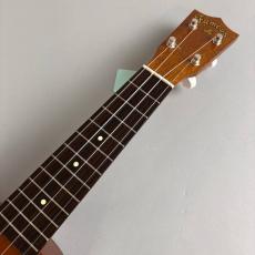 Famous FU-120_3