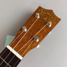 Famous FU-120_4