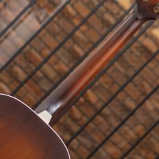 IRIS GUITAR COMPANY The DF Model Tobacco Burst_8