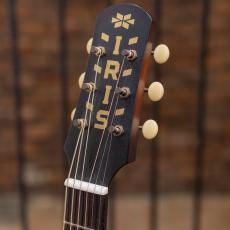 IRIS GUITAR COMPANY The DF Model Tobacco Burst_9