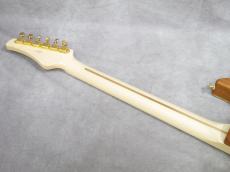 FUJIGEN EOS/QM TransparentGreen_10