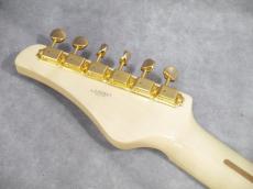 FUJIGEN EOS/QM TransparentGreen_11