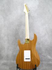 FUJIGEN EOS/QM TransparentGreen_13