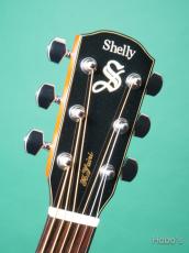 Shelly SY-M20 PU標準装備 (LR Baggs StagePro Onboard Pickup Element)_3