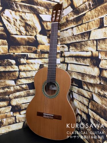 Paco Castillo パコ・カスティージョ 201C 杉・サペリ【日本総本店2F在庫品】