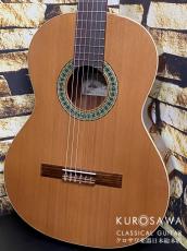 Paco Castillo パコ・カスティージョ 201C 杉・サペリ【日本総本店2F在庫品】_2