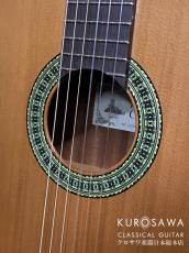 Paco Castillo パコ・カスティージョ 201C 杉・サペリ【日本総本店2F在庫品】_3