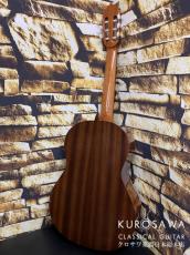 Paco Castillo パコ・カスティージョ 201C 杉・サペリ【日本総本店2F在庫品】_4