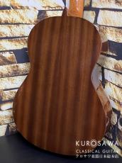 Paco Castillo パコ・カスティージョ 201C 杉・サペリ【日本総本店2F在庫品】_5