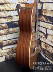 Paco Castillo パコ・カスティージョ 201C 杉・サペリ【日本総本店2F在庫品】_7