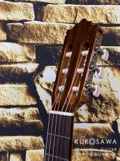 Paco Castillo パコ・カスティージョ 201C 杉・サペリ【日本総本店2F在庫品】_8