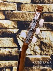 Paco Castillo パコ・カスティージョ 201C 杉・サペリ【日本総本店2F在庫品】_9