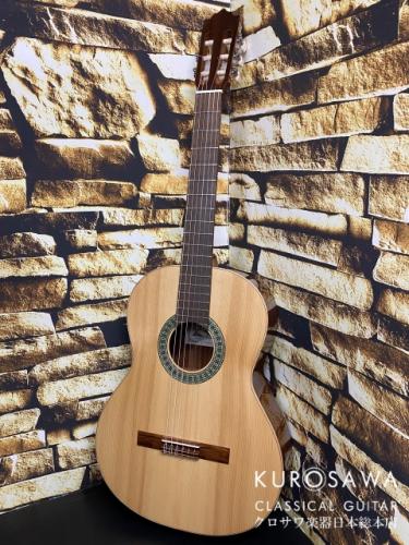 Paco Castillo パコ・カスティージョ 201S 松・サペリ【日本総本店2F在庫品】