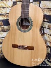 Paco Castillo パコ・カスティージョ 201S 松・サペリ【日本総本店2F在庫品】_2