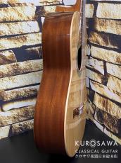 Paco Castillo パコ・カスティージョ 201S 松・サペリ【日本総本店2F在庫品】_7