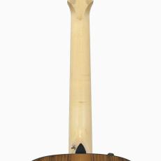 Taylor 150e 12-String *2019_9