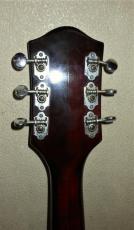 Gretsch Tennessean 6119_5